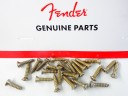 Fender Road Worn Pickguard Screws 0997208000